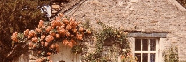 niceoneFrances's profile banner image