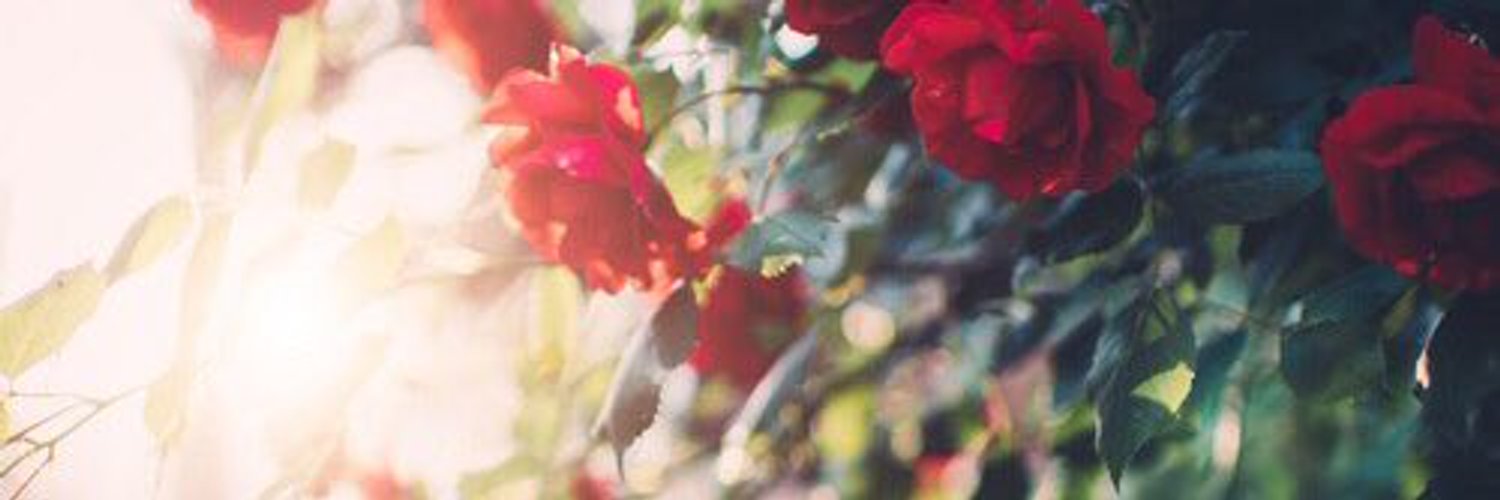 _julixtte's profile banner image