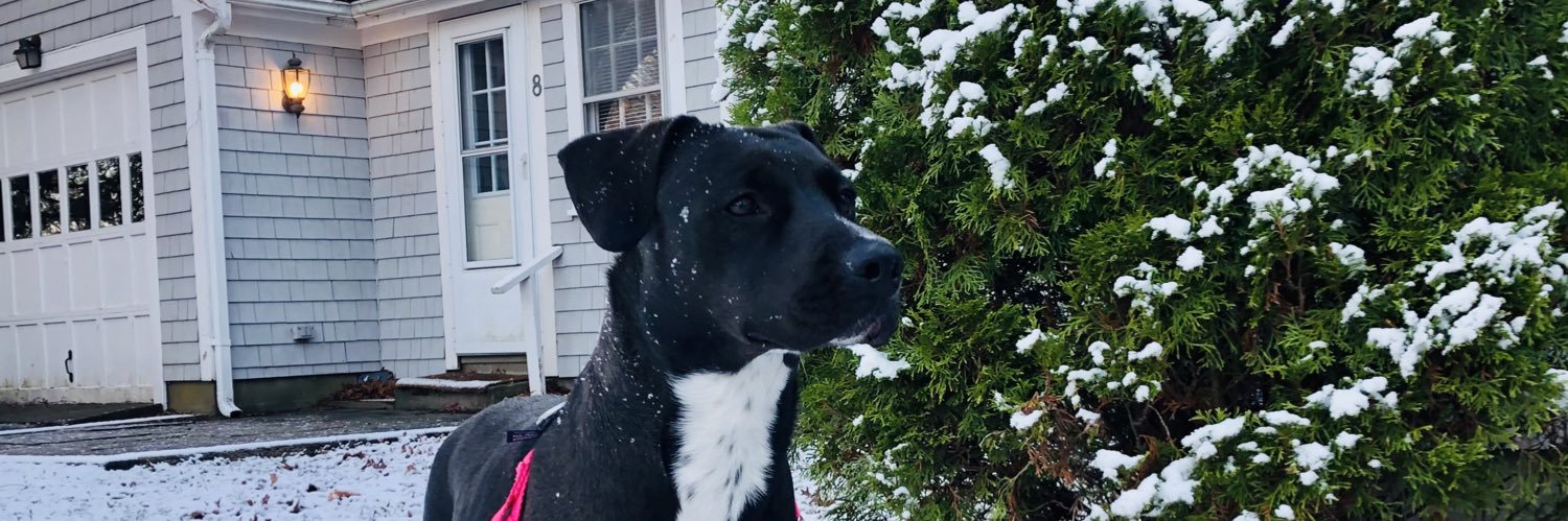 ernie_mac10's profile banner image