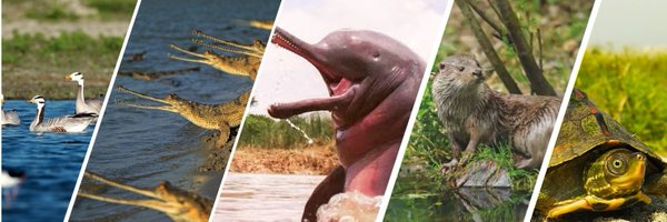 cleanganganmcg Profile Banner