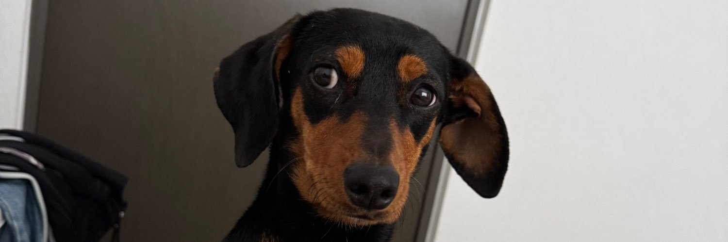 moncherrrat's profile banner image