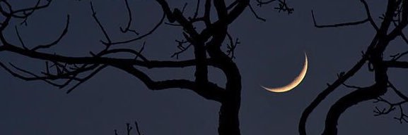 Aleyyldzz's profile banner image