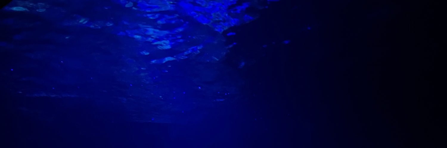 need_soma's profile banner image
