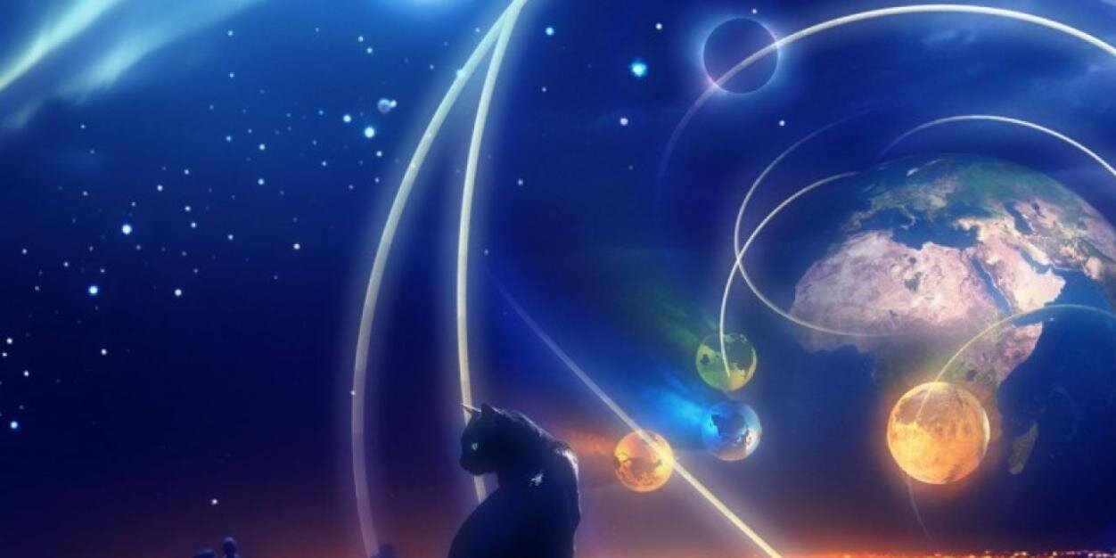 ninalarzon's profile banner image