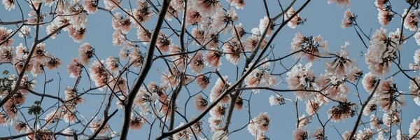 ilysium Profile Banner