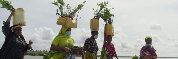 sustainsurf Profile Banner