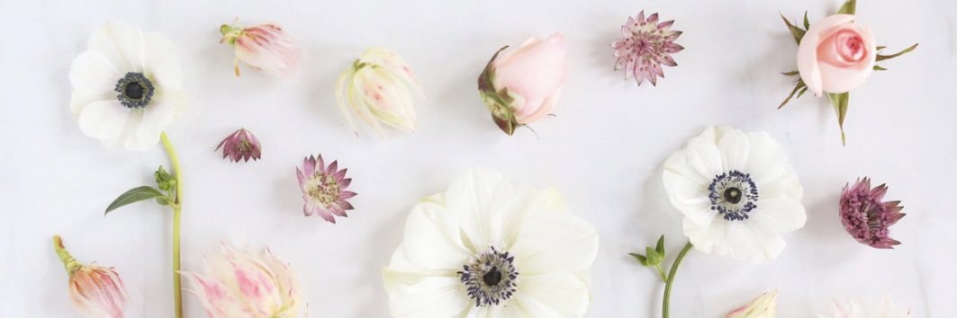 HeeyRossx's profile banner image