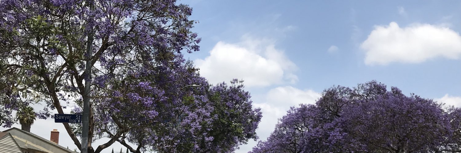 AYardbourgh's profile banner image