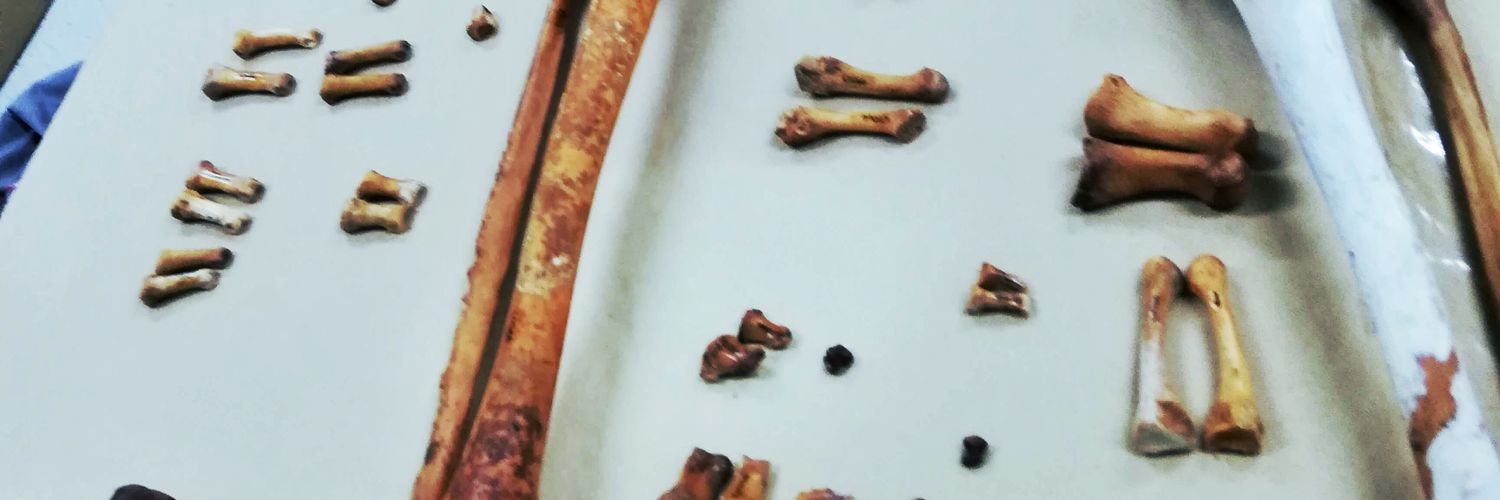 Natalia Girald💀 banner