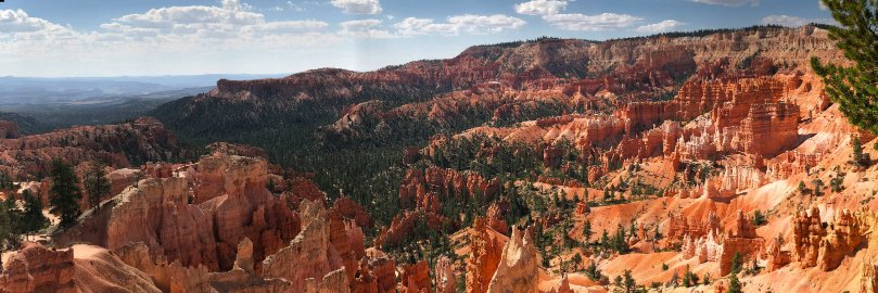 Mary Clare Moller banner