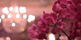 WAl5laifi's profile banner image