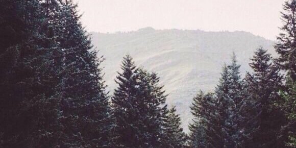 lukesfollowhelp's profile banner image