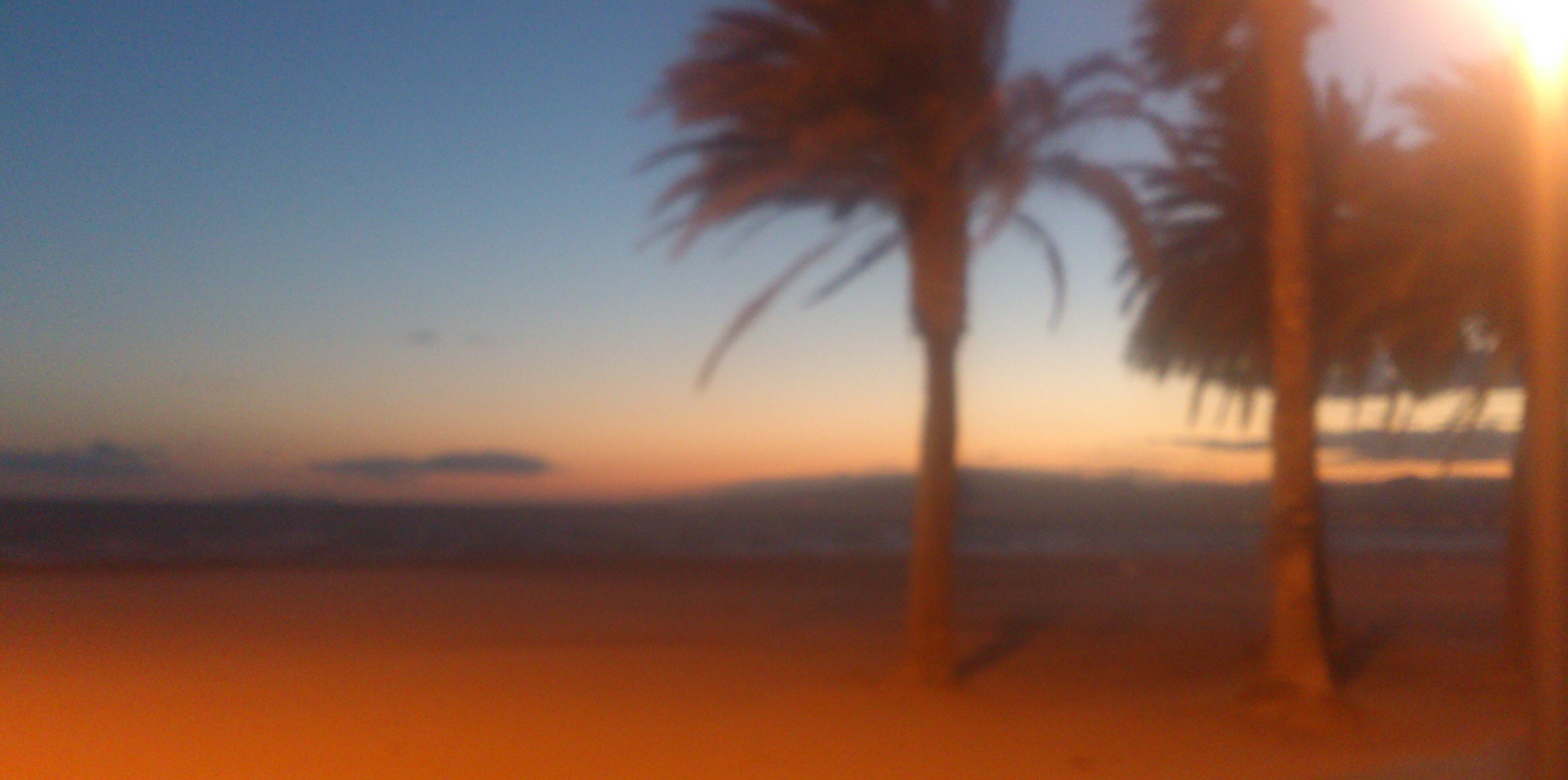 ClaudiaAlfonso2's profile banner image