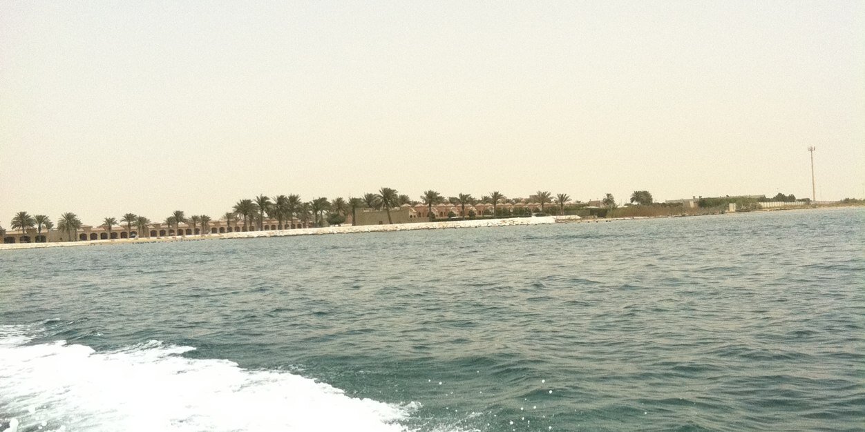 سالم الدماك banner