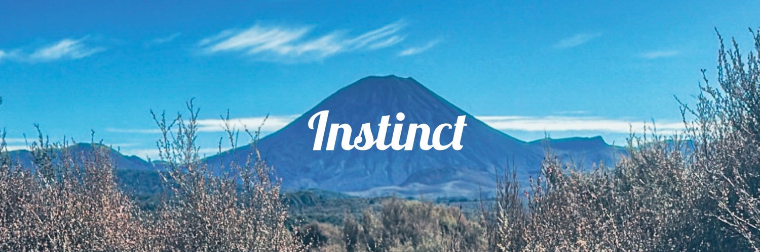 Instinct 🇳🇿 banner