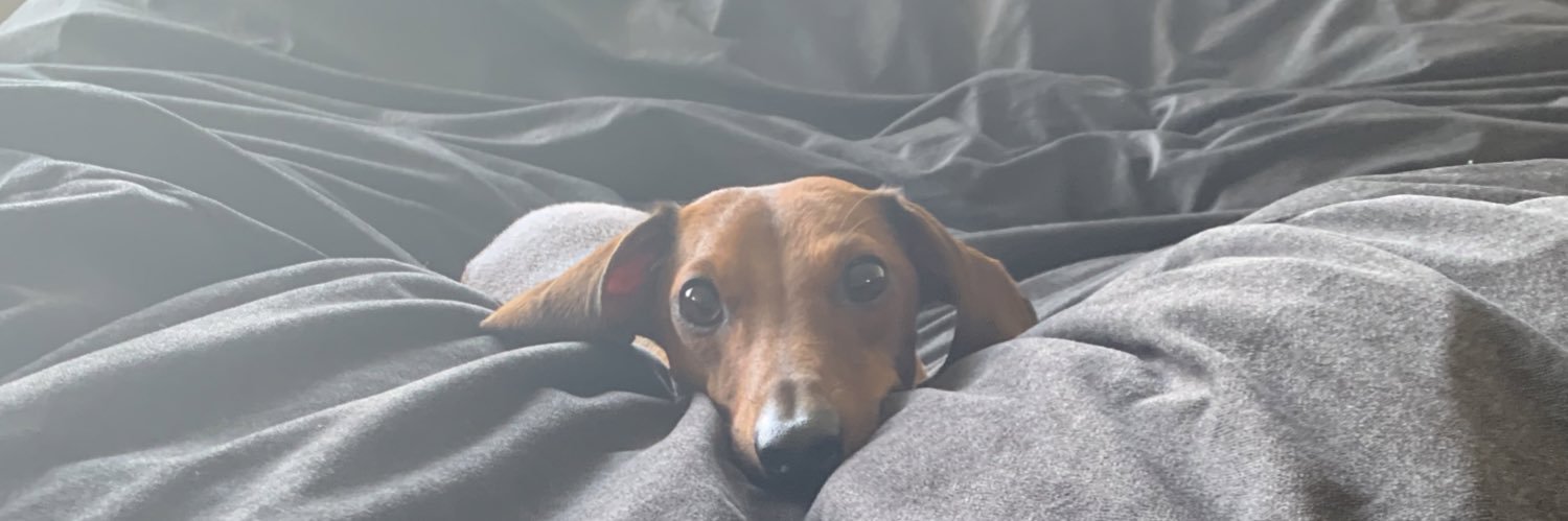 JakeBruck's profile banner image