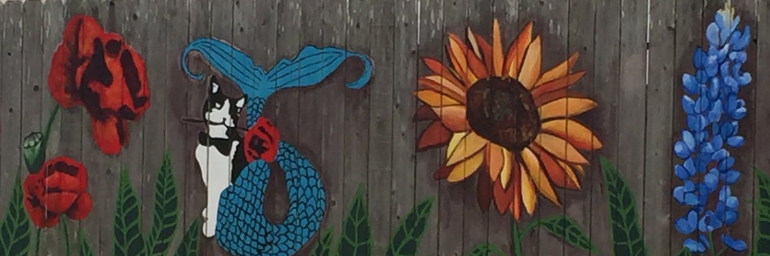 Rachel Harper, M. Ed. banner