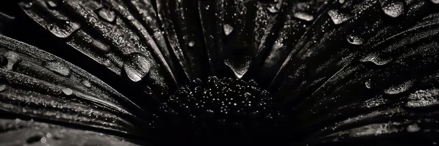 korexade's profile banner image