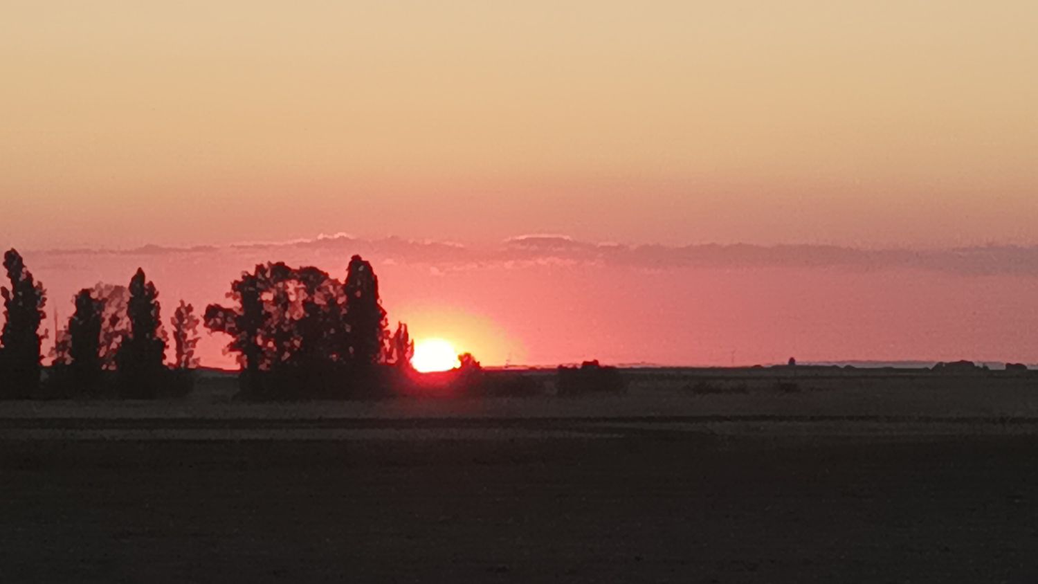 Joaquín Robledo banner
