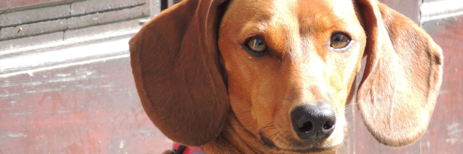 olausuarez2014's profile banner image