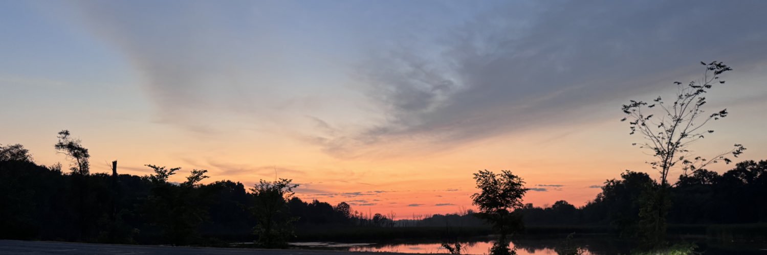 collinoberry2's profile banner image