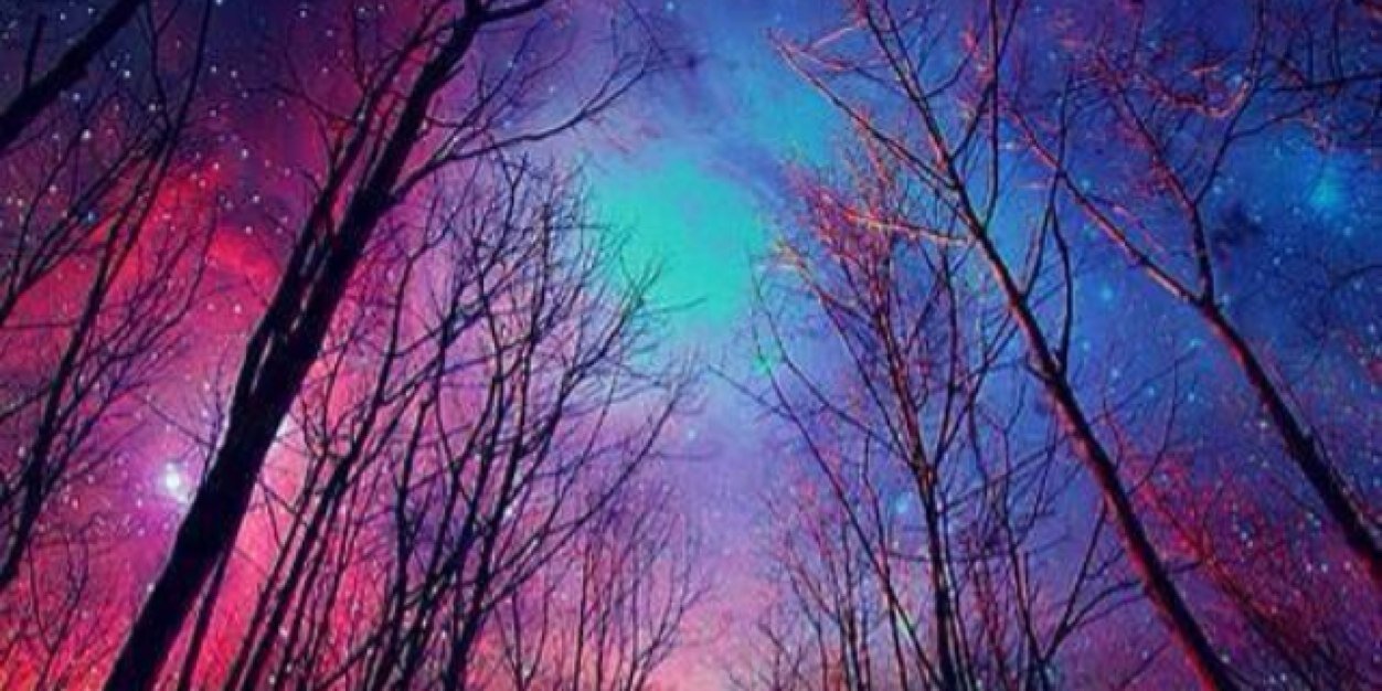 Katie Laudick banner