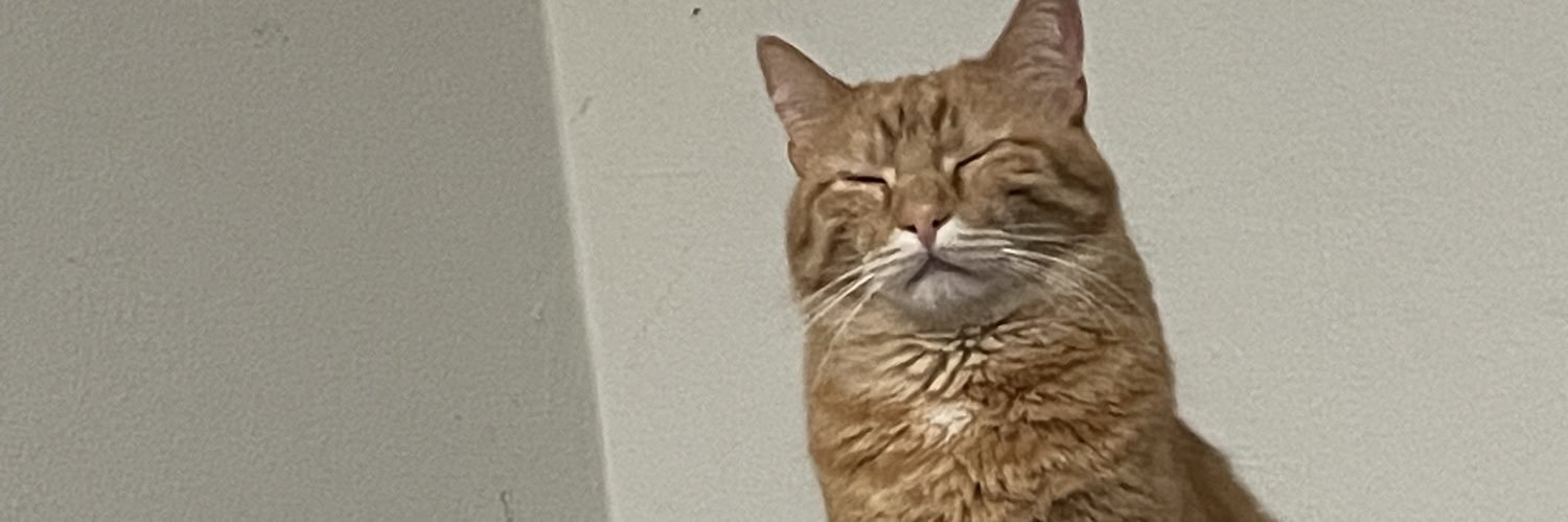 mpaes69's profile banner image