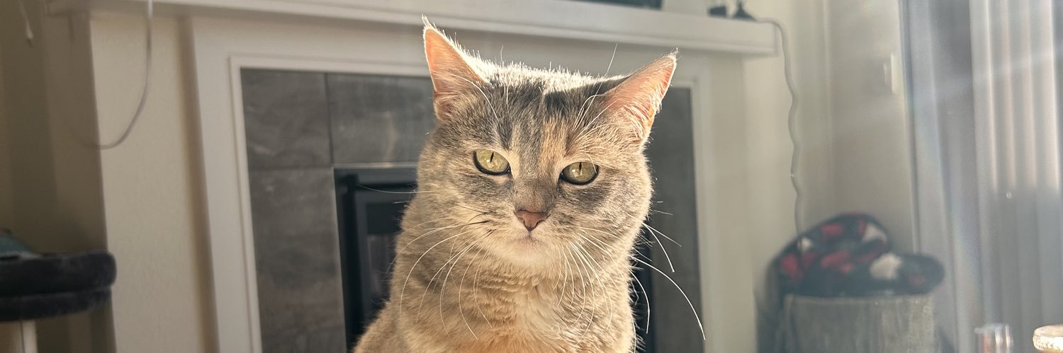 Baylee Wellhausen banner