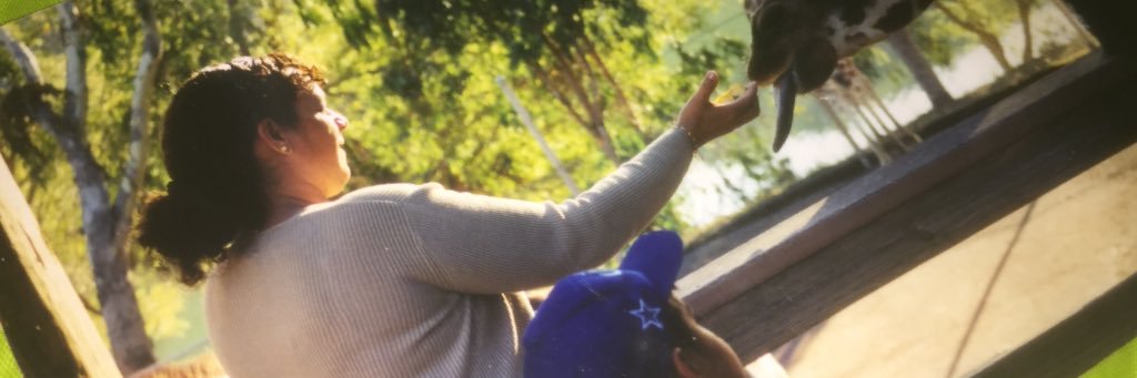 anibalcp7's profile banner image