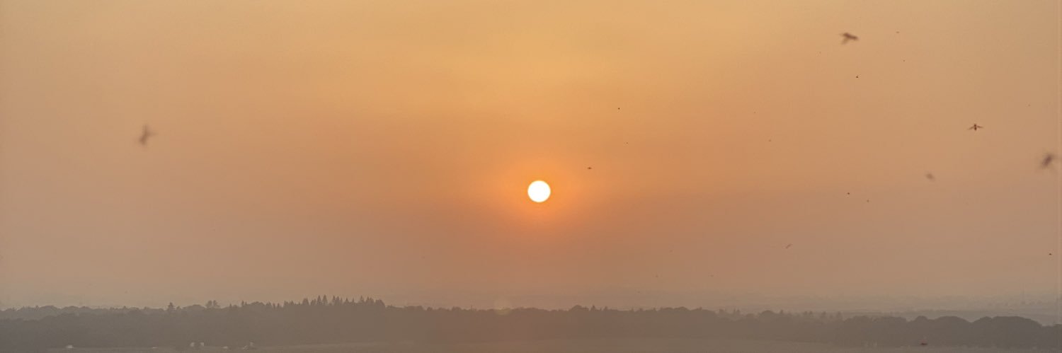 daisyy_lawson's profile banner image