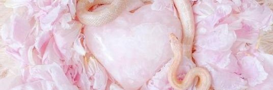 pl4netaria's profile banner image