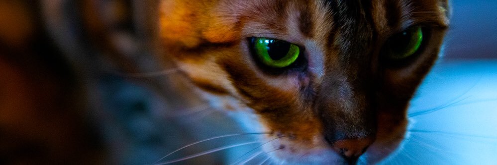 ___xillusion's profile banner image