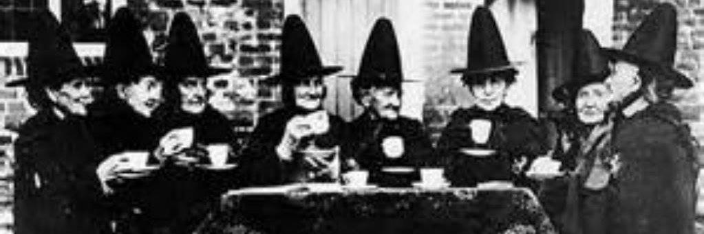birkelstein's profile banner image