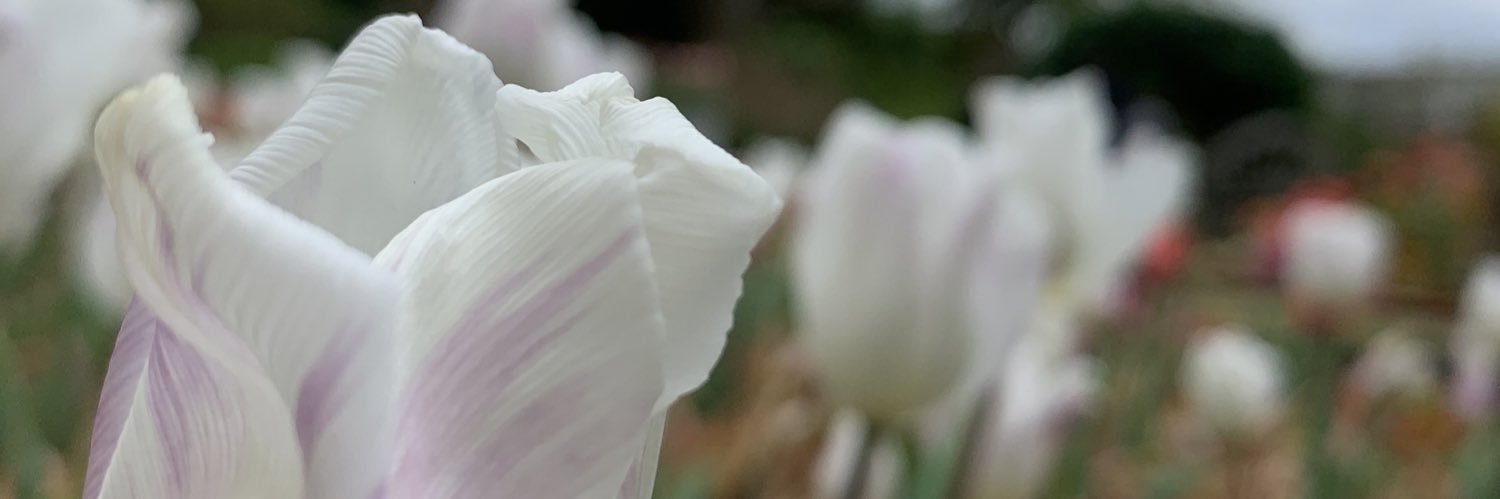 greeeeneighter2's profile banner image
