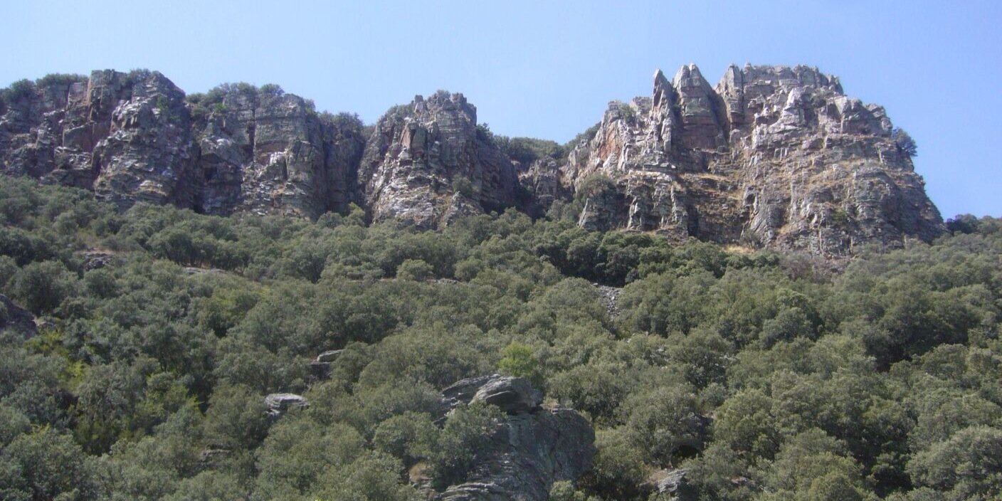 vilamolapila's profile banner image