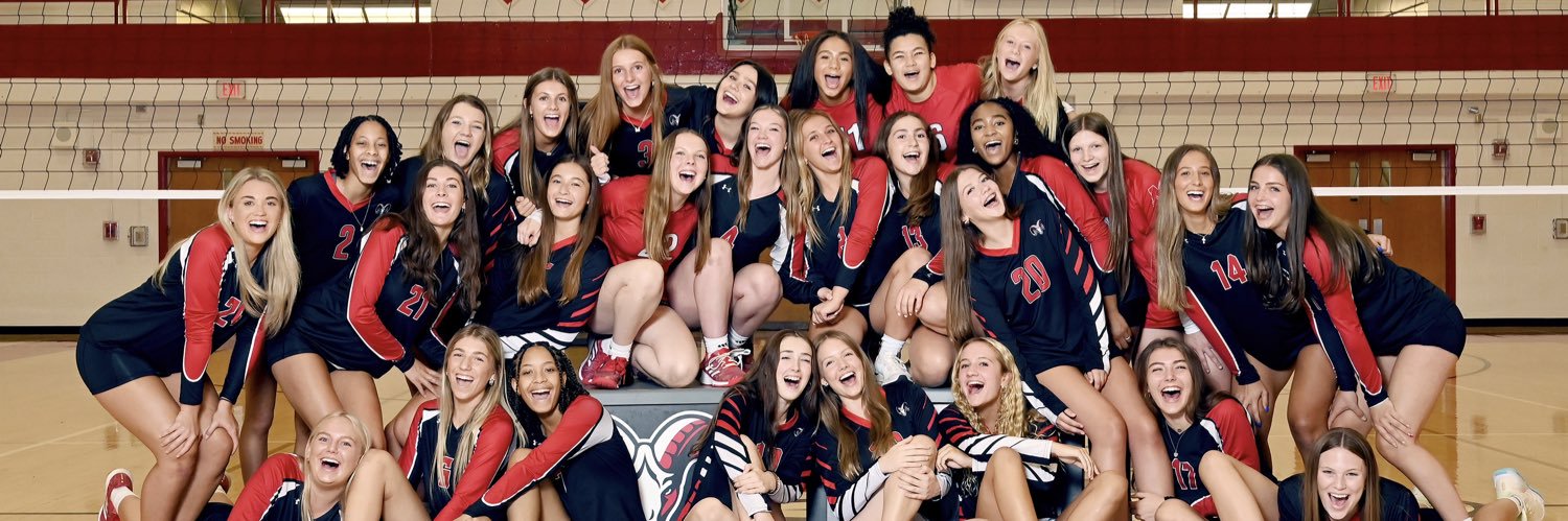 Manual Volleyball banner