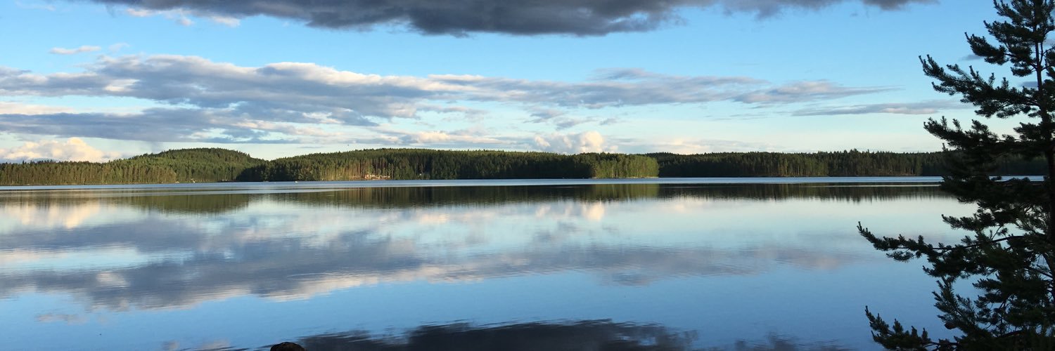 PmrRotko's profile banner image