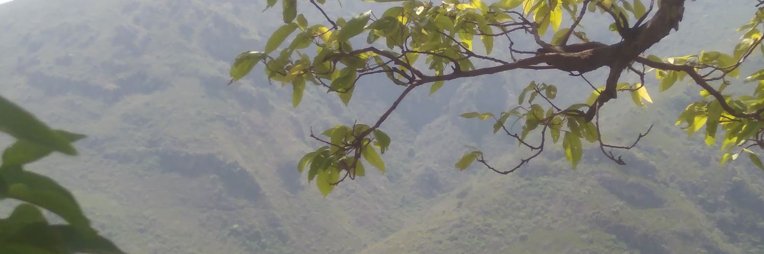 farooqwel's profile banner image