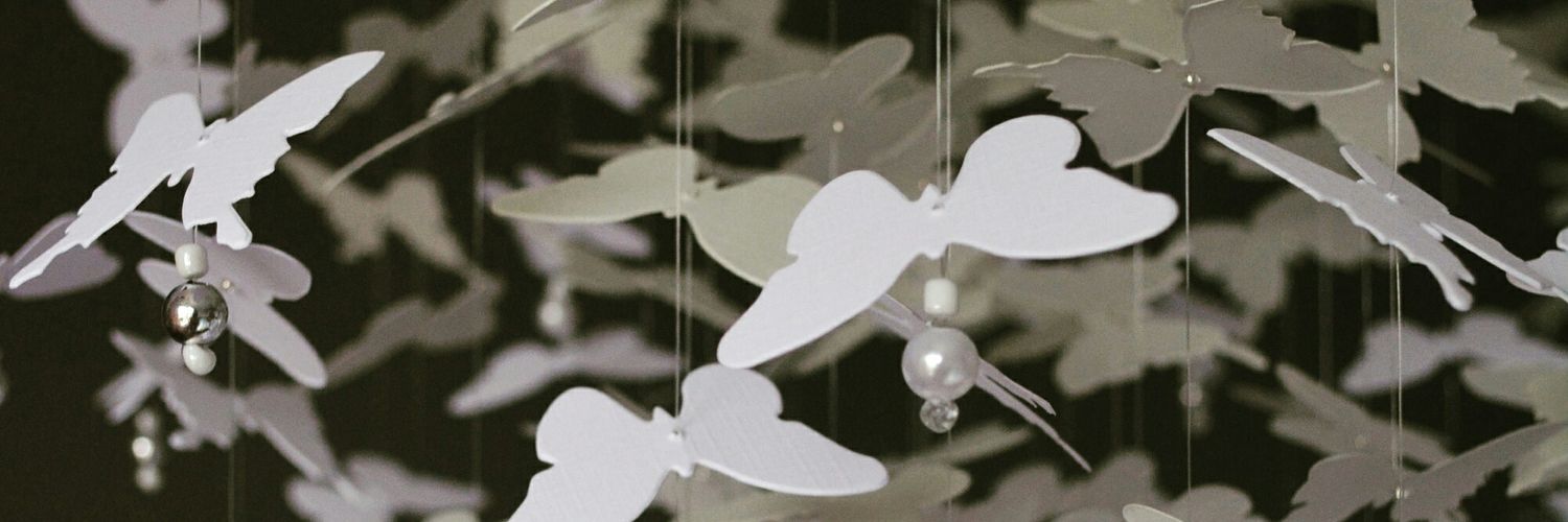 SierGoed's profile banner image