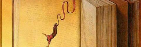 degerparadoksu's profile banner image