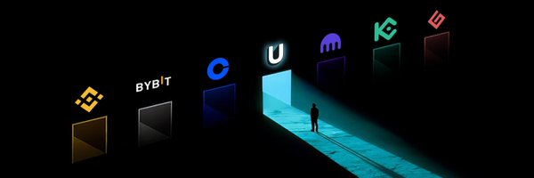 skyzer4ever Profile Banner