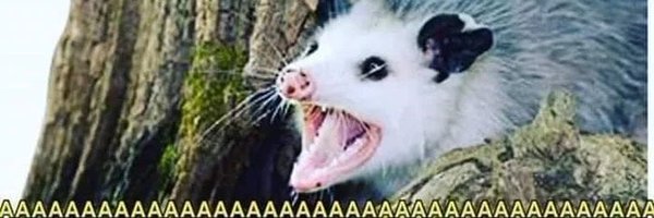 drowningemperor Profile Banner