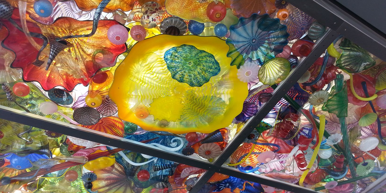 Tracey Lucas banner