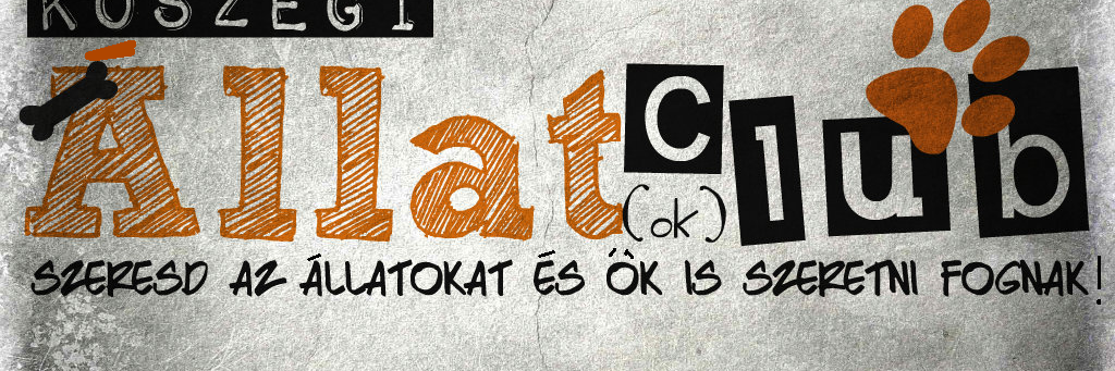 AllatCl's profile banner image