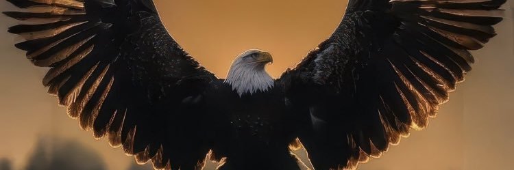 Chrisionic's profile banner image
