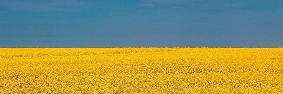 Auguste Robapoires banner