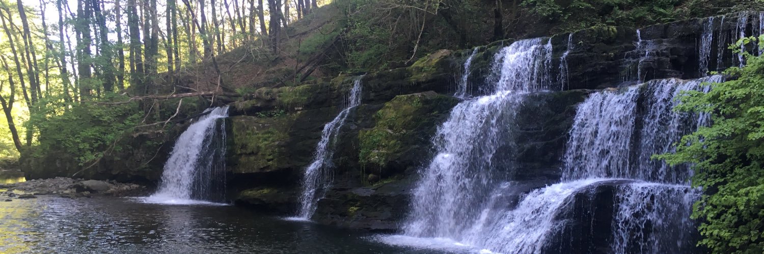 stephanie beardsmore banner