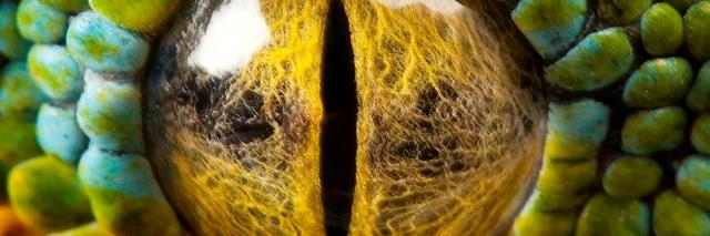 pericohv's profile banner image