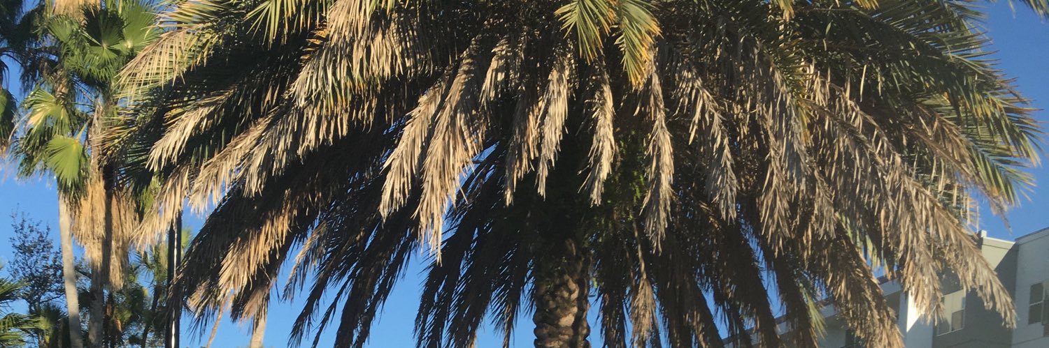 cjsuccessful's profile banner image