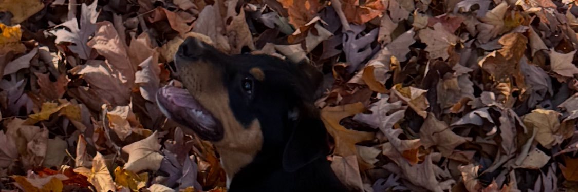 jcfritz's profile banner image